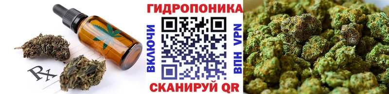 Cannafood марихуана  Рошаль 