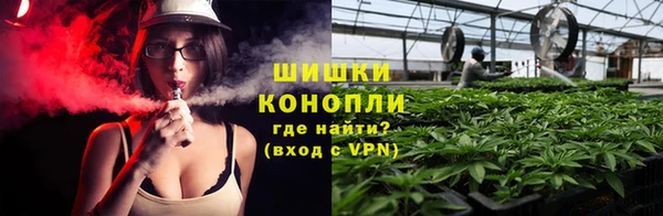 spice Алзамай